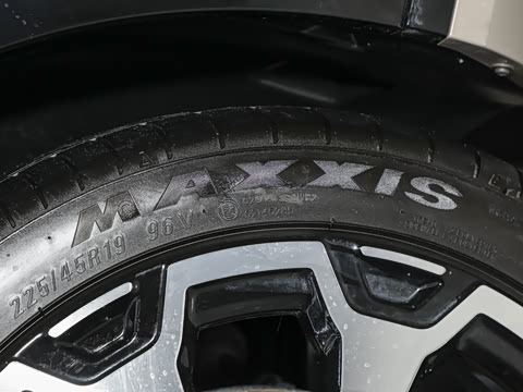 2024�� ���������� 520 �����״��