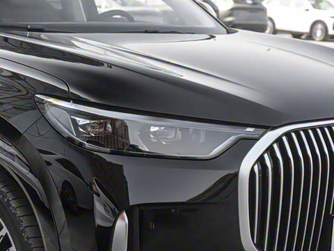 2025�� 1.5T 106KM������ 7�� �������