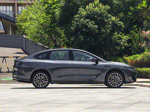 2025�� 650�����״��