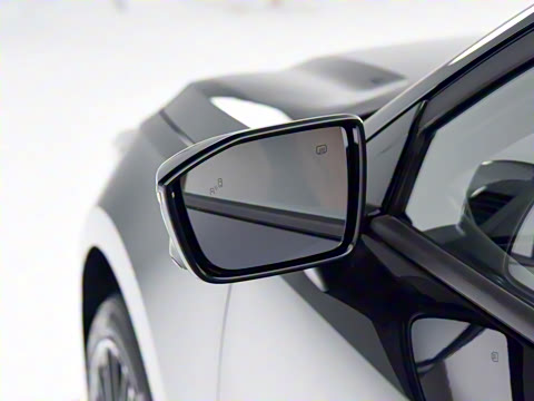 2025�� ������ 2.0T ������