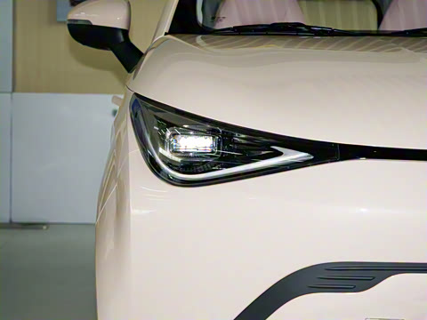 2025�� 305km ������