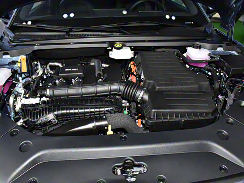 2025�� DM-i 80KM�����