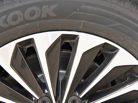 2019�� ������