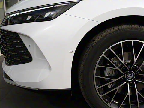 2025�� DM-i �Ǽݰ� 120KM׿Խ��