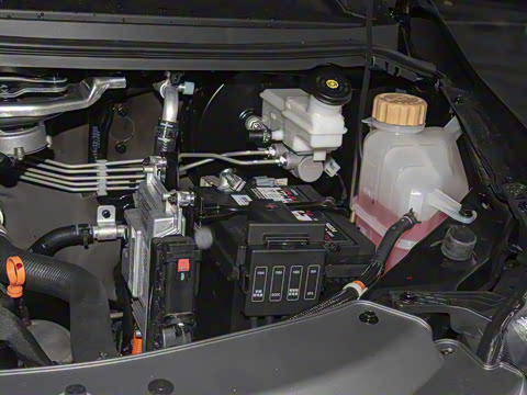 2025�� 110km���� ������5��