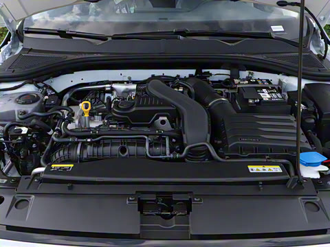 2025�� �Ŀ� 300TSI DSG���а�