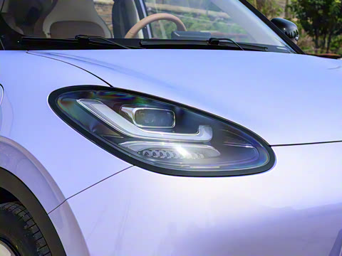 2025�� 333km ������