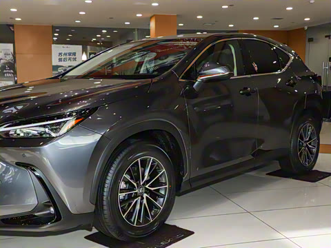 2025�� 260 ǰ�� �ر��