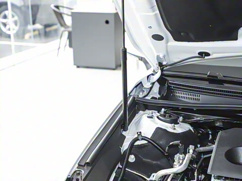 2024�� ˫�� 2.0HS �˶���