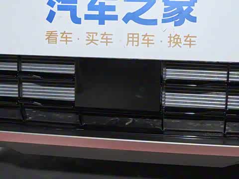 2025�� 115km Pro��