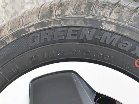 2022�� ������������ �������