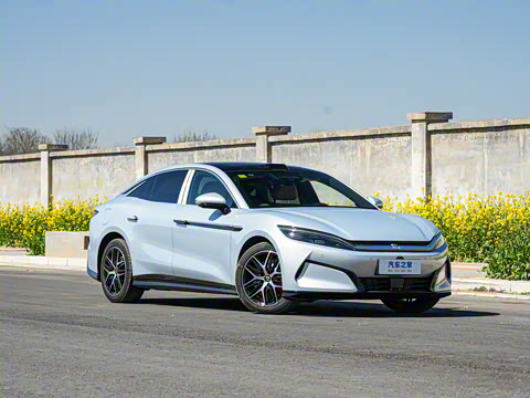 2025�� EV ���������״��콢��