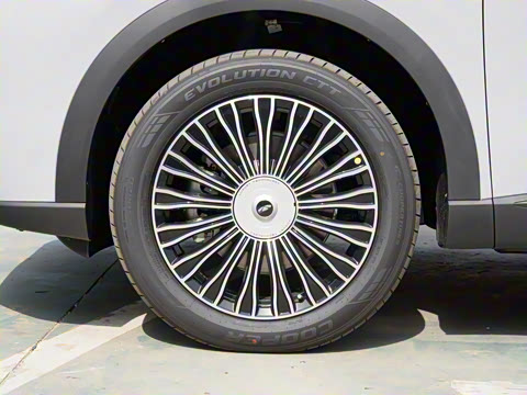 2025�� 210 �����������콢�� 7�� ��Ԫ�+M3P