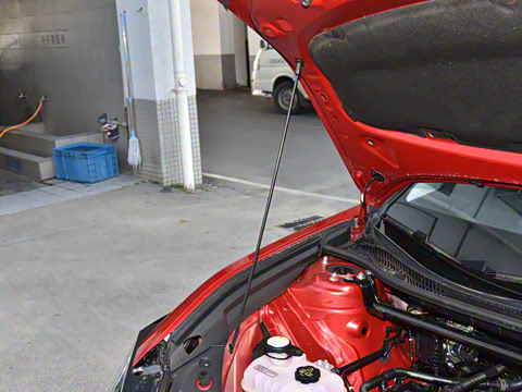 2025�� 550 PRO���а�