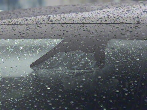 2025�� ������ȫ��������