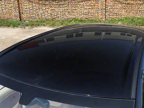 2025�� 333km ������