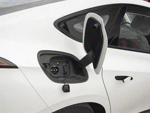 2025�� 550��ѡ��