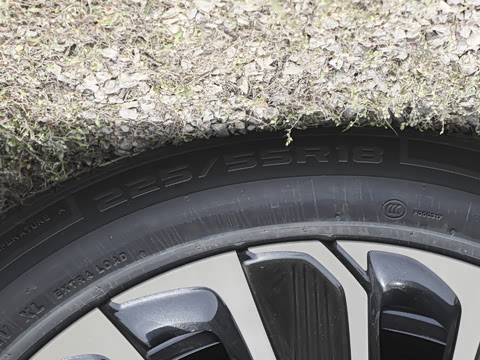 2025�� ½�� ������ 7��