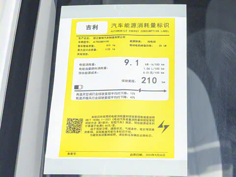 2025�� ��èmini 210km Ԫ����