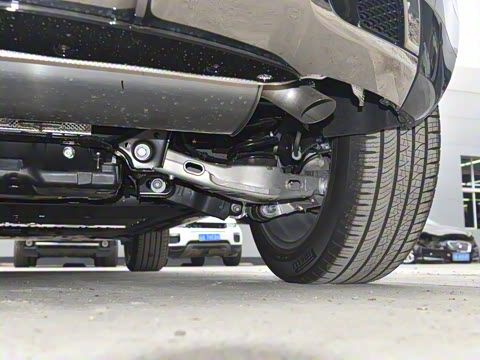 2021�� ����L P300e ������