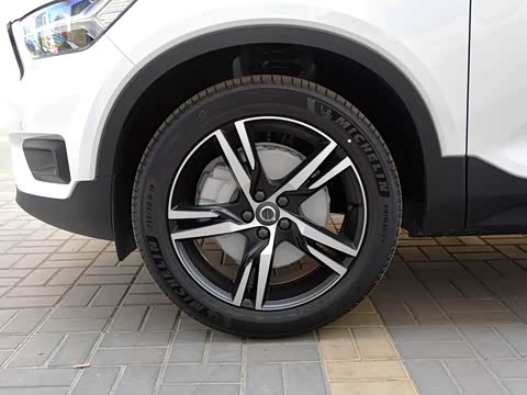 2020�� T4 ������Զ�˶���