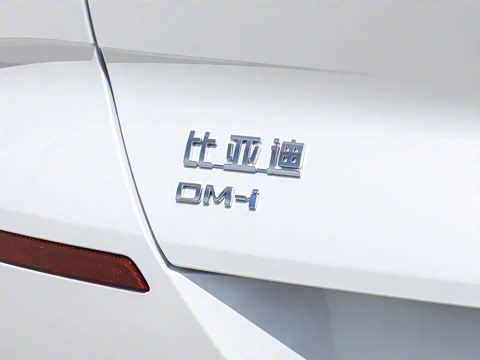 2025�� DM-i 170�캽Plus��