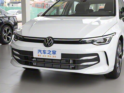 2025�� �Ŀ� 300TSI Pro