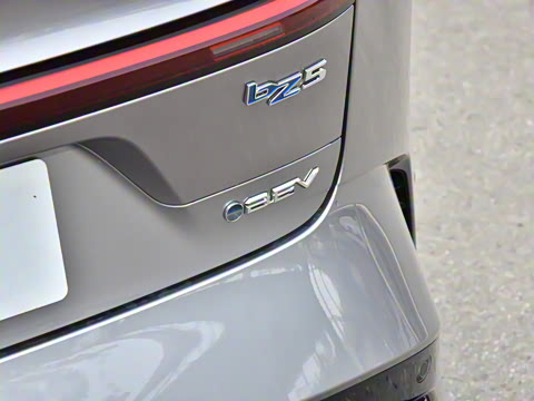 2025�� 630 MAX���а�