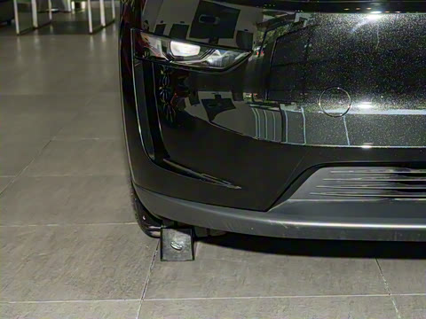 2025�� ����������