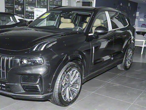 2025�� 2.0TD EM-P ����Max ����