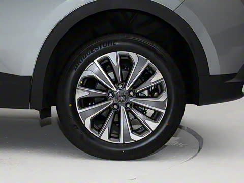 2025�� 25T �����׽��