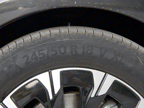 2024�� V 300 �캽��