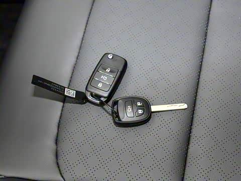 2025�� PLUS 1.5L �ֶ�������