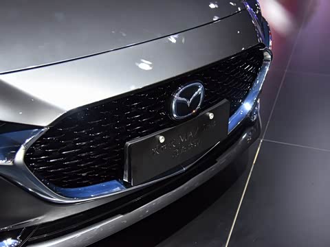 2020�� 2.0L Xѹȼ������