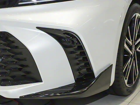 2024�� ˫�� 2.0HS �˶���