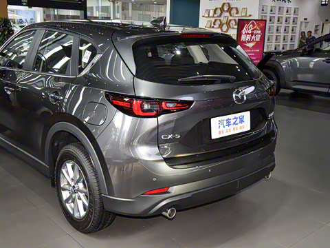 2025�� 2.0L �Զ�����������