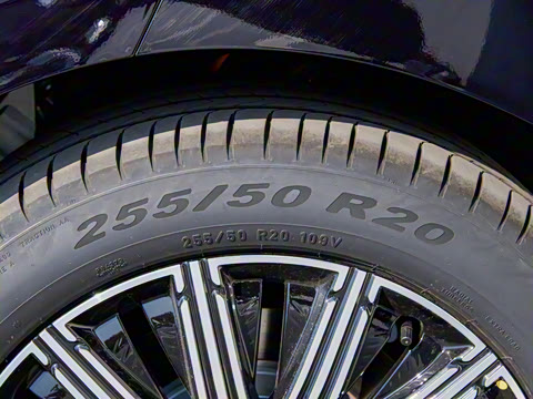 2025�� EV �������Ǭ����