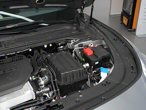 2025�� ���� Max ����������ʻ