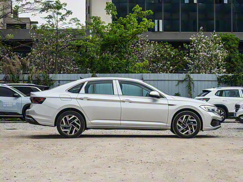 2025�� �Ŀ�� 300TSI DSG��Խ��