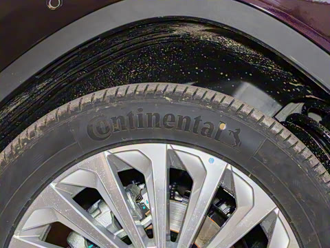 2021�� 290T �������