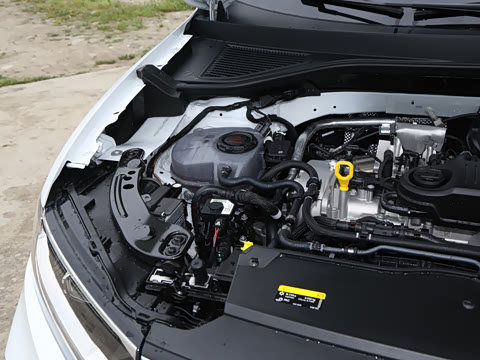 2025�� �Ŀ� 300TSI DSG���������