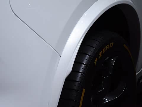 2019�� 2.9T 510HP F1������