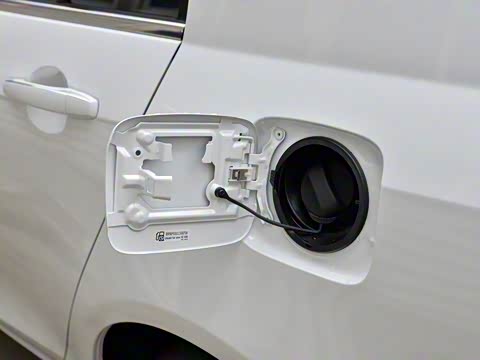 2019�� ����� 1.5L �ֶ��������˰� ��V