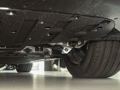 2025�� Max�����