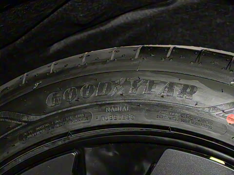 2025�� ����������