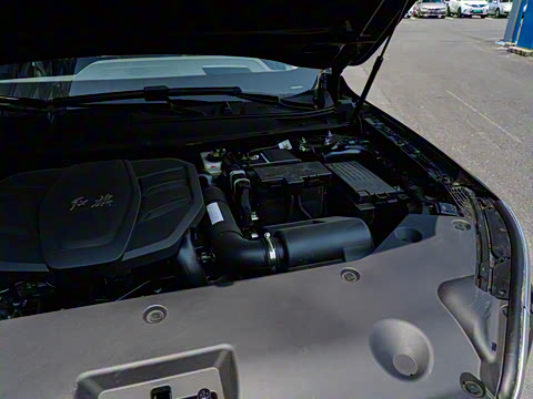 2025�� 2.0T ��������Pro��