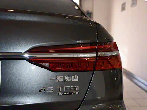 2019�� 45 TFSI quattro ����������