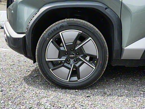 2025�� 501KM ����Max��