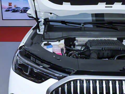 2025�� 1.5T 106KM������ 7�� �������