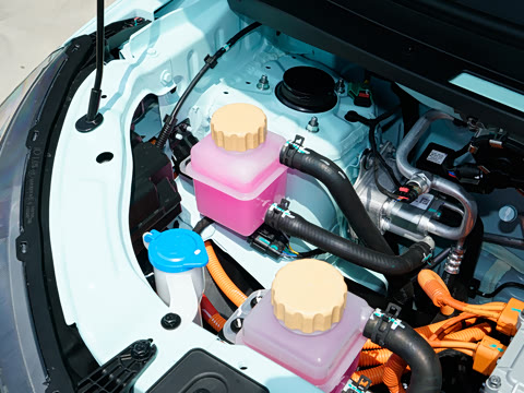 2025�� 405km ������